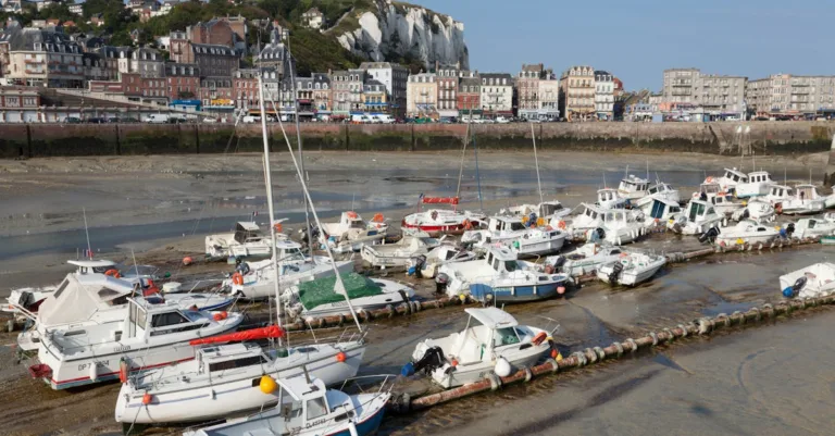 découvrez la gastronomie de normandie : saveurs authentiques, fromages renommés, cidres traditionnels et spécialités culinaires régionales qui régalent les papilles.
